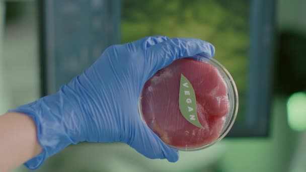 Verticale video: Close-up van de chemicus in handen veganistisch rundvlees monster - Video