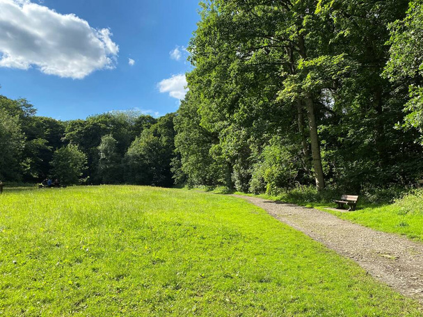 Ścieżka spacerowa, z drewnianą ławką, starymi drzewami i pastwiskami, w letni dzień, Roberts Park, Bradford, UK - Zdjęcie, obraz