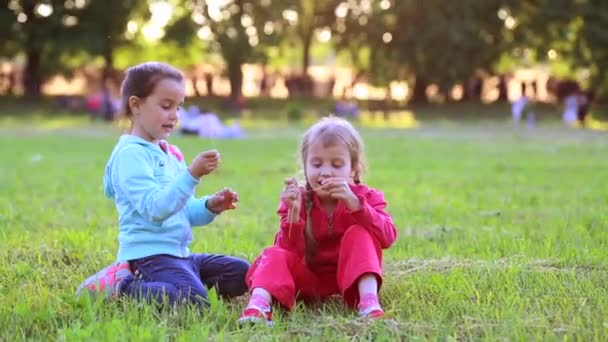 Dos niñas sentadas en la hierba. Diversión de verano. niñas juegan en el campo - Imágenes, Vídeo