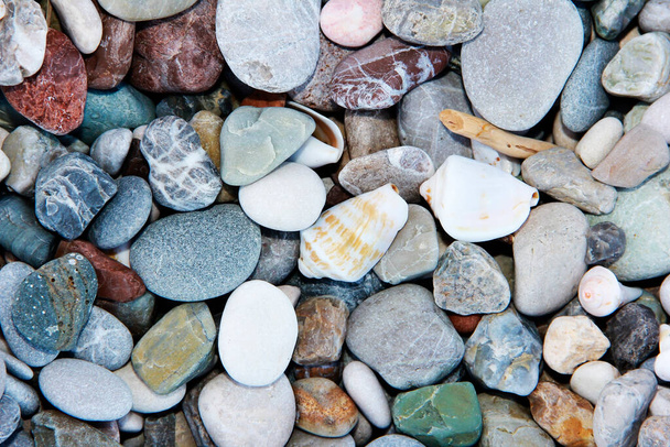pestrobarevné mořské kameny a bílé mušle - Fotografie, Obrázek