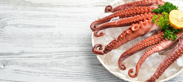 Octopus tentacles on ice. Seafood. Top view. Flat lay. - Foto, Imagem