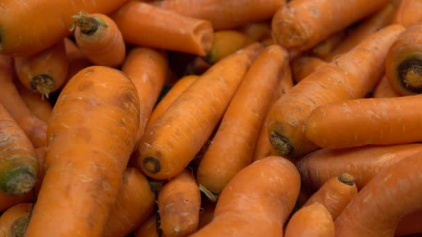 zanahorias frescas en el mostrador en el supermercado - Metraje, vídeo