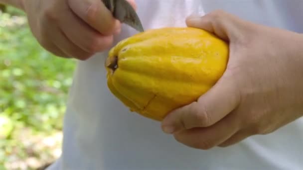  Парень в белой рубашке режет фрукт какао - Кадры, видео