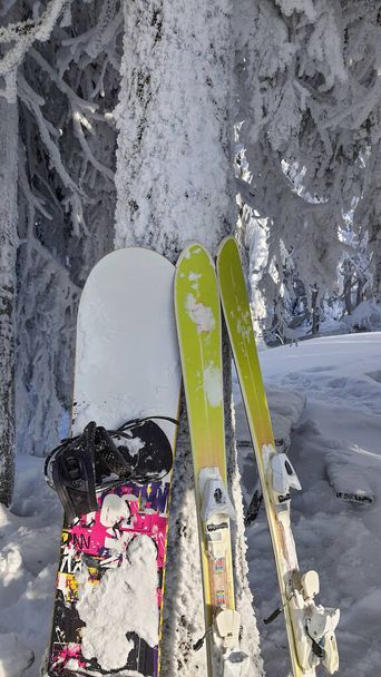 snowboard en ski in de buurt van besneeuwde pijnbomen na sneeuwstorm poeder dag - Foto, afbeelding