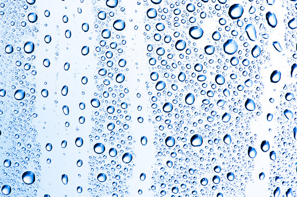 Water drops - Foto, imagen