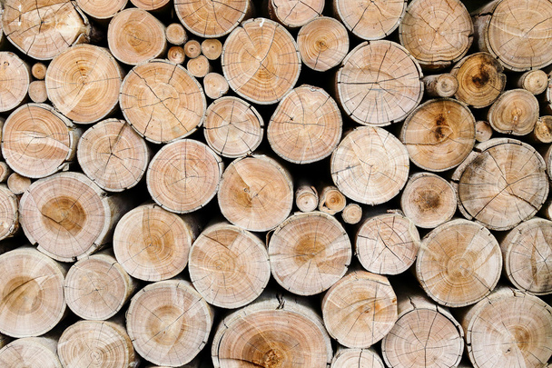 dřevo protokoly pro průmysl - Fotografie, Obrázek
