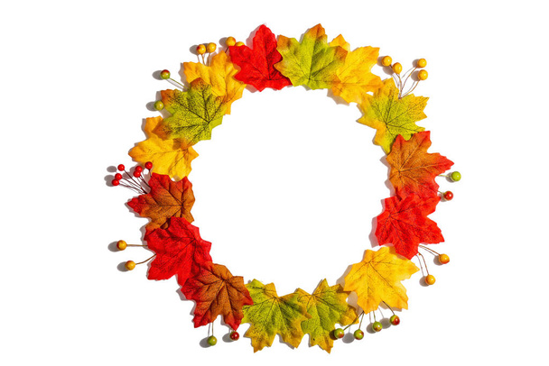 白い背景に隔離された秋のフレーム構成。カラフルなカエデの葉や果実、フラットレイからの花輪 - 写真・画像
