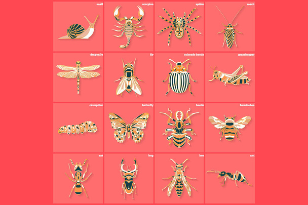Logotipo abstracto de insectos gráficos - Vector, Imagen