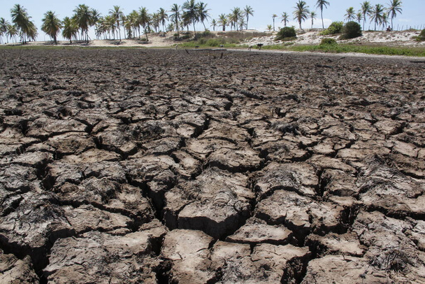 conde, bahia, brazil - march 27, 2013: View of a dry terrain at a lagoon site in the city of Conde. - Photo, Image