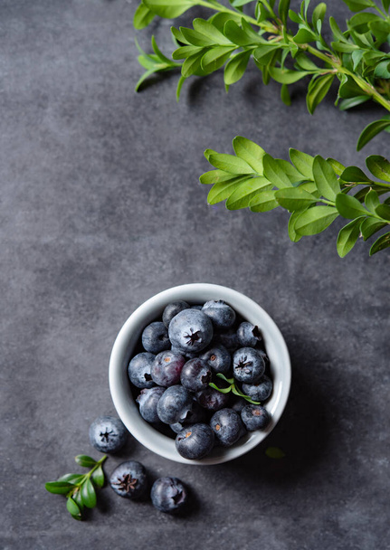 sweet fresh blueberries in a bowl  with green brunch on a dark gray background. Dark concept photo. Top view and copy space image - Foto, Imagem