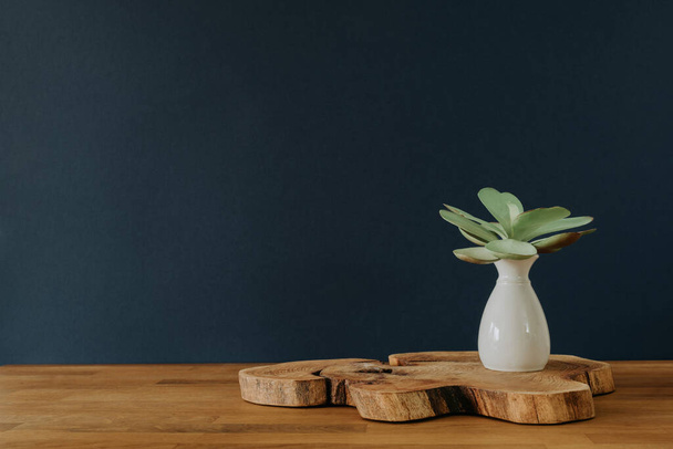 Green plant in vase on wooden table with copy space - Foto, Imagen