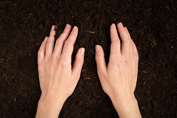 Woman hand holding ground. Top view.  - Foto, Bild
