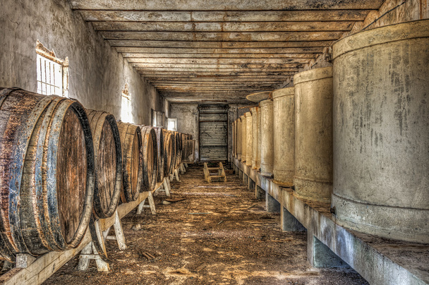 hordó bort és egy elhagyott borospince tartályok - Fotó, kép