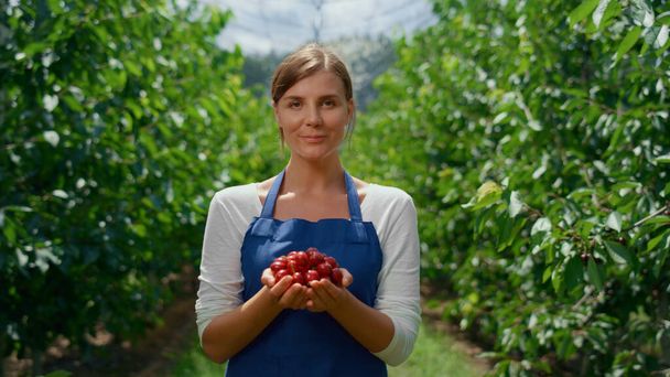 Földműves nő kezében bogyós cseresznye a helyi mezőgazdasági piacon gyümölcsös kert. - Fotó, kép