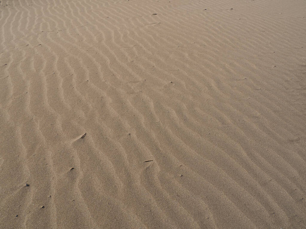 スペインのエブロ自然公園からの黄金の砂の質感。砂浜の背景. - 写真・画像
