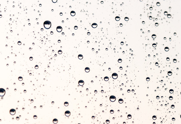 дождевые капли - Фото, изображение