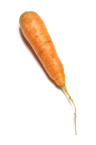 Cenoura fresca isolada no fundo branco
 - Foto, Imagem