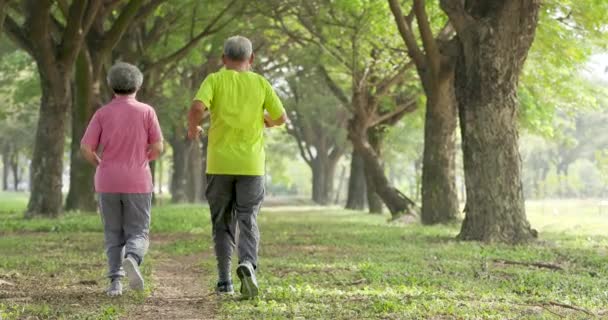 Vue arrière du jogging en couple senior dans le parc - Séquence, vidéo