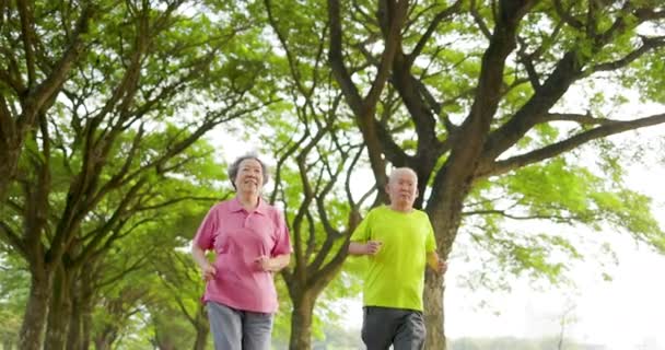 Gelukkig senior paar joggen in het park - Video