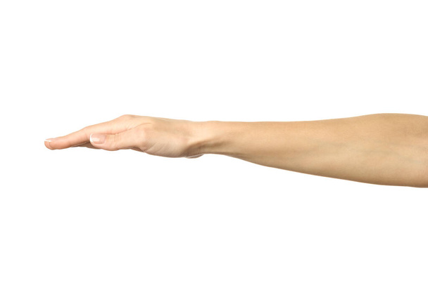Dekking en bescherming. Vrouw hand met Franse manicure gebaar geïsoleerd op witte achtergrond. Deel van serie - Foto, afbeelding