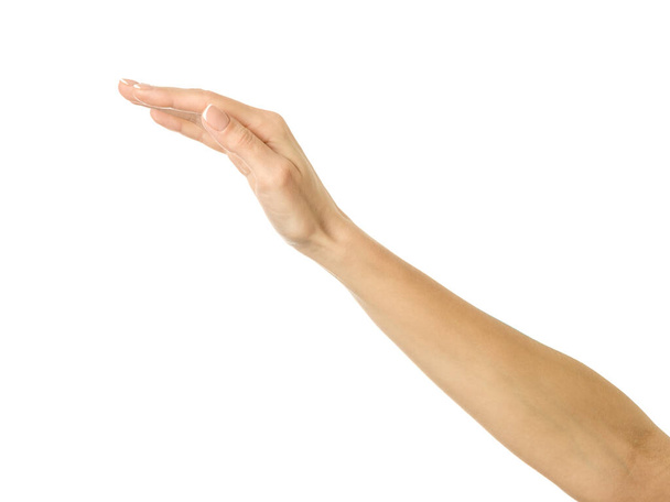 Pokrytí a ochrana. Žena ruka s francouzskou manikúrou gestikulující izolovaně na bílém pozadí. Část série - Fotografie, Obrázek