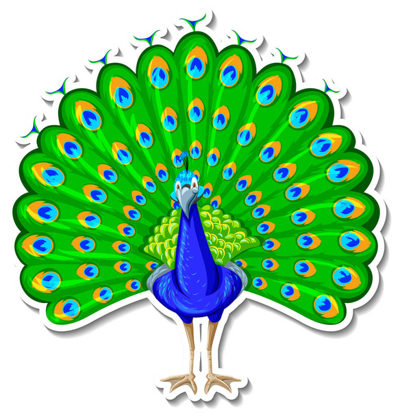 Illustrazione dell'adesivo del fumetto animale dell'uccello del pavone - Vettoriali, immagini