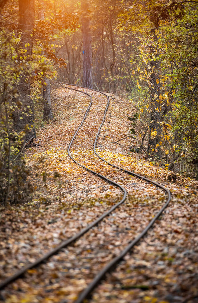 Trilha de trem coberta com folhas caídas no outono
 - Foto, Imagem