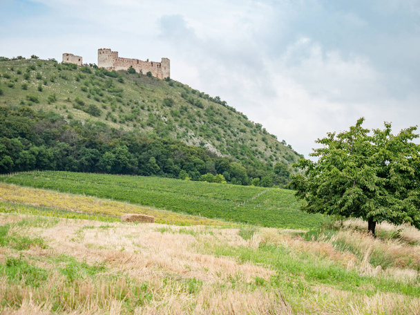 Devin Hill mit dem Rest von Devicky Castle über Feld und Weinberg. Sonniger Sommertag in der Region Südmähren, Tschechien. - Foto, Bild