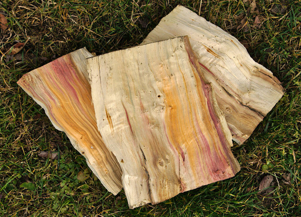 Η επιφάνεια του σφενδάμου (Acer negundo) κόβει συχνά έχει ένα απρόσμενο χρώμα και είναι κατάλληλο για έργα τέχνης - Φωτογραφία, εικόνα