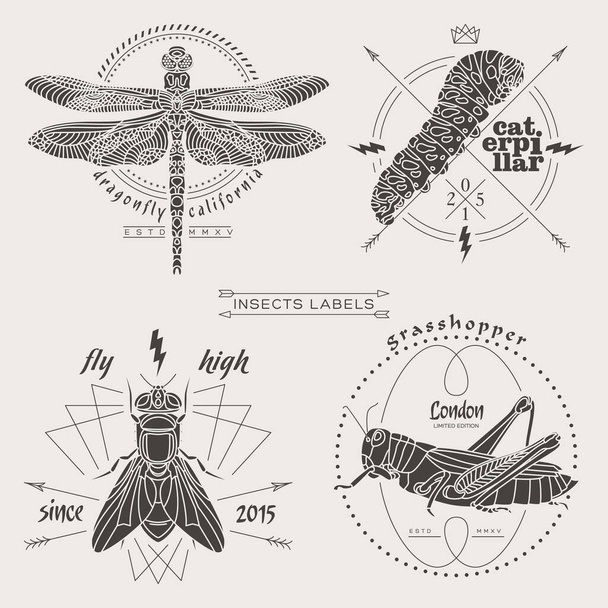 насекомые этикетки и значки - Вектор,изображение