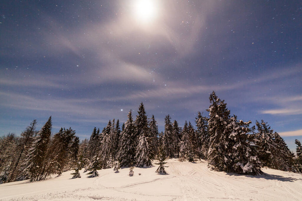 雪に覆われた木と魔法の冬の風景。星や星雲や銀河との明るい夜空。深い空の天体写真. - 写真・画像
