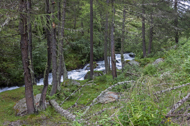 přírodní krajina s potokem v Riva di Tures v jižním Tyrolsku  - Fotografie, Obrázek
