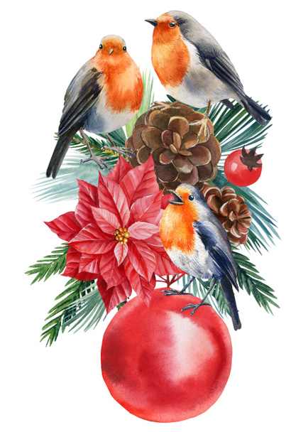 Robin, Holly, joulutähti, kuusen oksat, linnut eristyksissä valkoisella pohjalla, viktoriaaninen kliitti. Joulu vesiväri - Valokuva, kuva