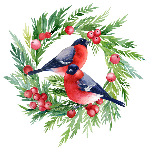 Red bullfinch, Christmas wreath with birds on a white background, watercolor drawings - Фото, изображение