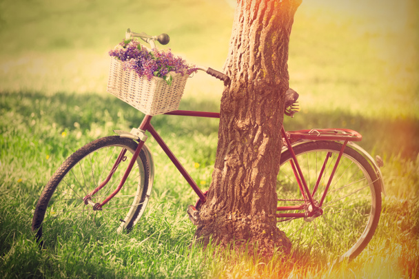 Vintage polkupyörän odottaa lähellä puuta
 - Valokuva, kuva