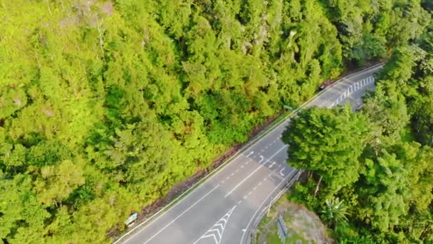 Вид згори на ліс і автомобілі в Ампанг Хілл  - Кадри, відео