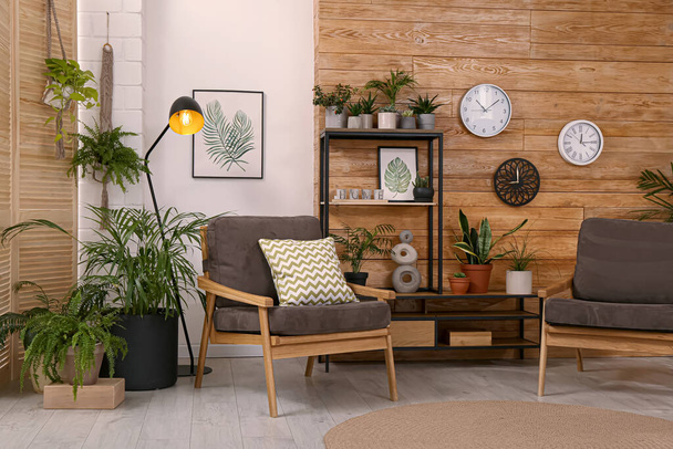 Stylish room interior with beautiful green plants and comfortable furniture - Valokuva, kuva