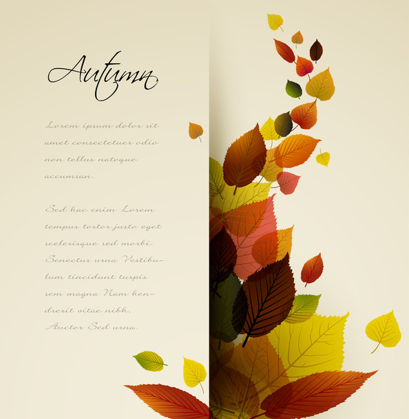 Autumn abstract floral background  - Vector, Image