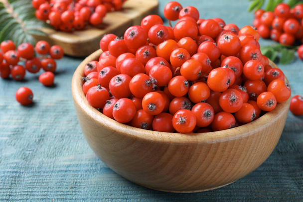 Fresh ripe rowan berries in wooden bowl on light blue table - Photo, image