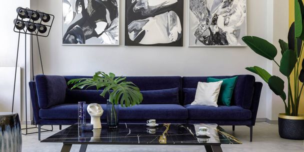 Stylish and modern living room interior with blue velvet sofa, mock up paintings, design furniture, plant, table, decoration, concrete floor, elegant personal accessories in home decor. - 写真・画像