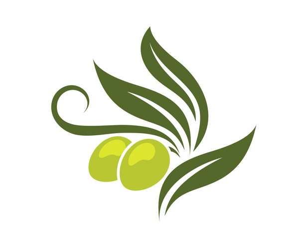 πράσινες ελιές υποκατάστημα - Διάνυσμα, εικόνα