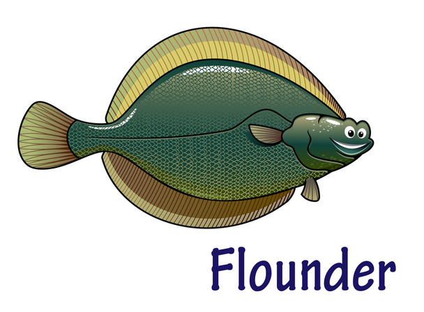 Flounder fish cartoon character - Vector, Image
