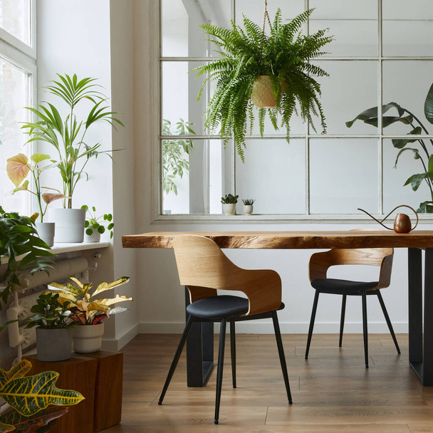 Stylish and botany interior of dining room with design craft wooden table, chairs, a lof of plants, window, poster map and elegant accessories in modern home decor. Template. - Fotó, kép