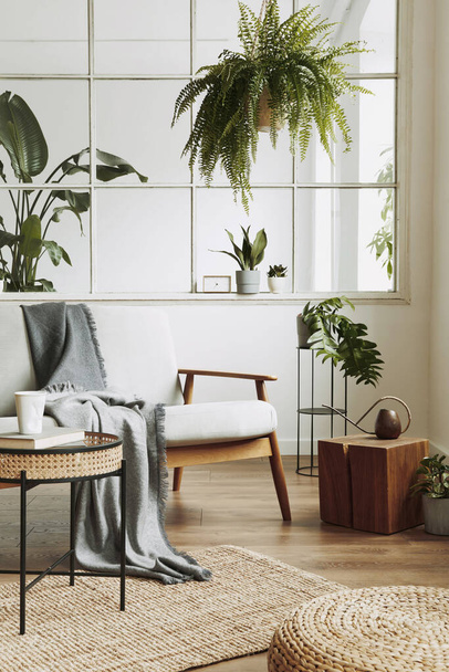 Modern scandinavian interior of living room with design grey sofa, armchair, a lot of plants, coffee table, carpet and personal accessories in cozy home decor. Template. - Φωτογραφία, εικόνα