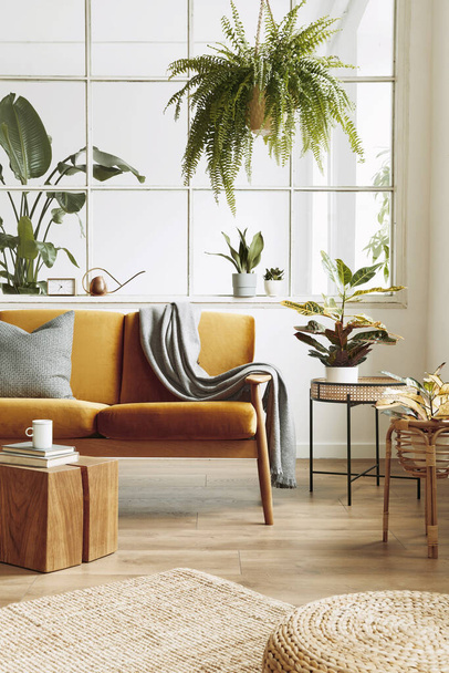 Interior design of scandinavian open space with yellow velvet sofa, plants, furniture, book, wooden cube and personal accessories in stylish home staging. Template. - Фото, зображення