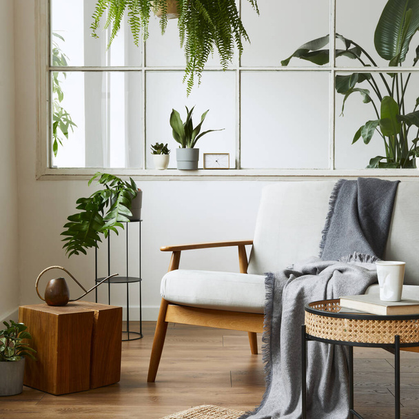 Modern scandinavian interior of living room with design grey sofa, armchair, a lot of plants, coffee table, carpet and personal accessories in cozy home decor. Template. - Φωτογραφία, εικόνα