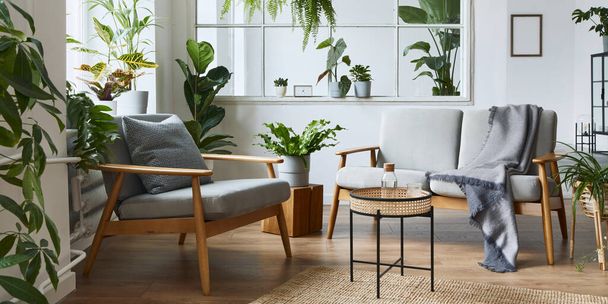 Modern scandinavian interior of living room with design grey sofa, armchair, a lot of plants, coffee table, carpet and personal accessories in cozy home decor. Template. - Foto, Bild