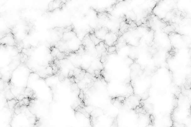 Αφηρημένη λευκό μάρμαρο υφή μοτίβο φόντο με μαύρη γραμμή του δέρματος. Δημιουργική πέτρα τέχνη τοίχο εσωτερικό σχεδιασμό φόντου. - Φωτογραφία, εικόνα