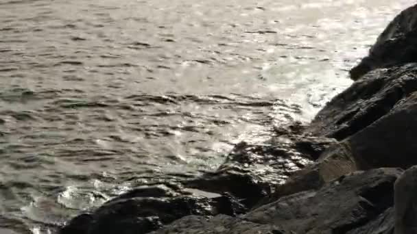 waves, waves crashing on the shore , 2 version - Footage, Video