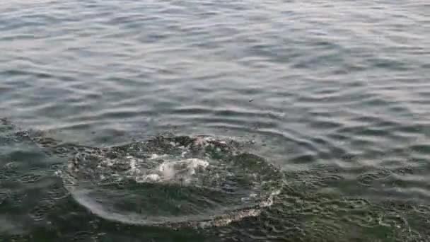 dobott kövek, dobott kövek a tengerbe 3 verzió, széles közepes közelkép - Felvétel, videó